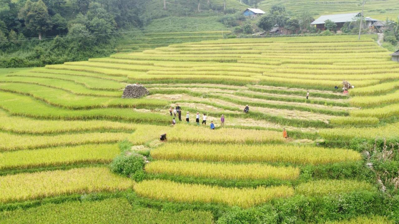 May Homestay Sapa Ngoại thất bức ảnh